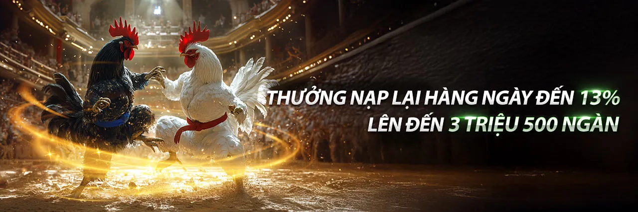 Đá gà trực tiếp thứ 7 tại Loto188